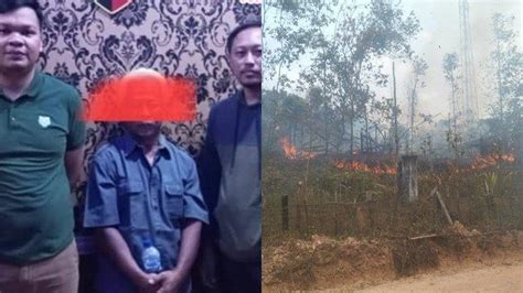 Kakek 62 Tahun Pelaku Pembakaran Lahan Di Muara Enim Ditangkap Polisi