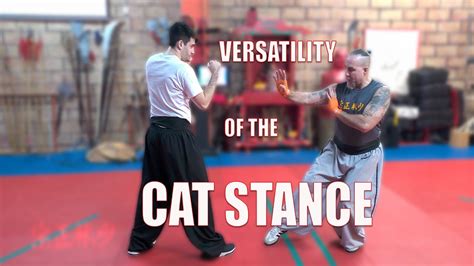 How To Use Kung Fu S Cat Stance For Grappling Youtube