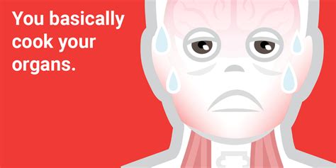 This Is What Happens To Your Body When You Get Too Hot Business Insider