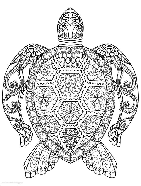 Animal Mandala Coloring Page Turtle - ColoringBay