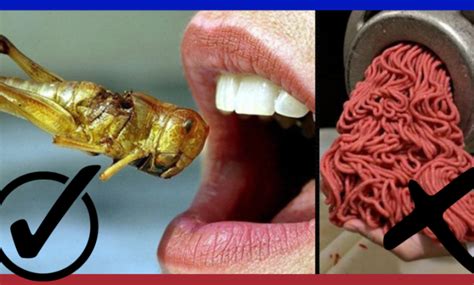 Desperate Canadians Forced To Eat The Bugs Get Woke Up