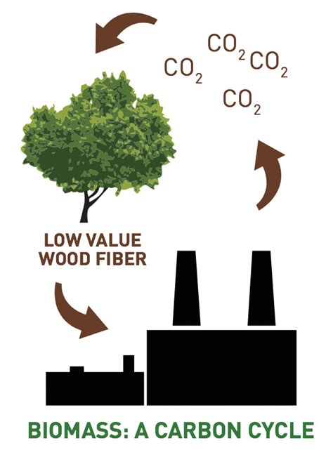 Carbon Accounting - Biomass Power Association