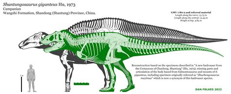 TheFalconPaint on Twitter: "Fun fact, Edmontosaurus annectens is also ...