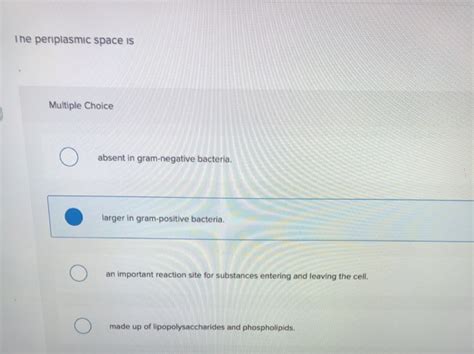 Solved The periplasmic space is Multiple Choice absent in | Chegg.com