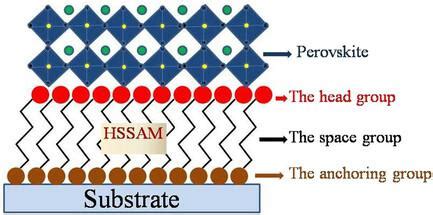 Application Of Hole Selective Self Assembled Monolayers In Inverted