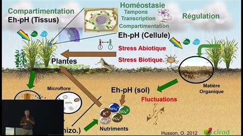 Olivier Husson Equilibres Redox pH dans les systèmes sol plantes