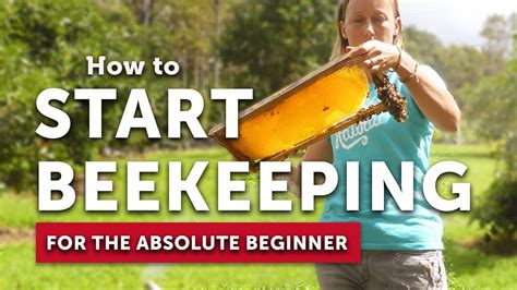 How To Start Beekeeping For The Absolute Beginner Become A Beekeeper