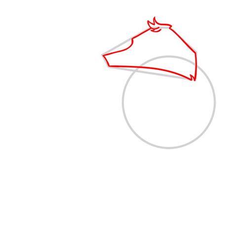 Learn how to draw an Arctic Wolf - EASY TO DRAW EVERYTHING