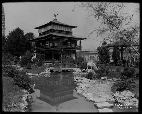 Japanese Gardens At The 1904 St Louis Worlds Fair The Japanese