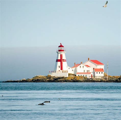 The ULTIMATE Guide To Eastport Maine Activities In 2024