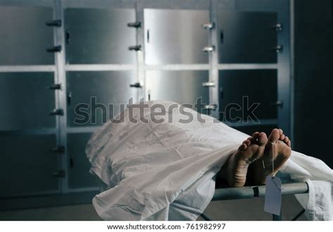 Scene Hospital Morgue Where Corpses Taken Stock Photo (Edit Now) 761982997