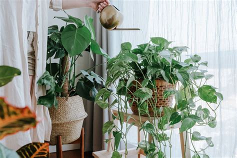 Como Refrescar O Quarto 10 Dicas Para Amenizar O Calor