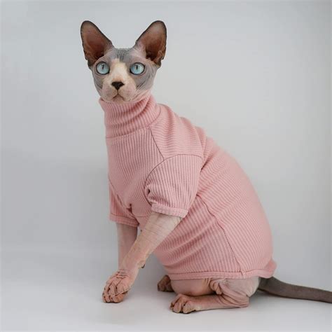 Buy Sphynx Hairless Cats Shirt Breathable Cat Turtleneck Sweater