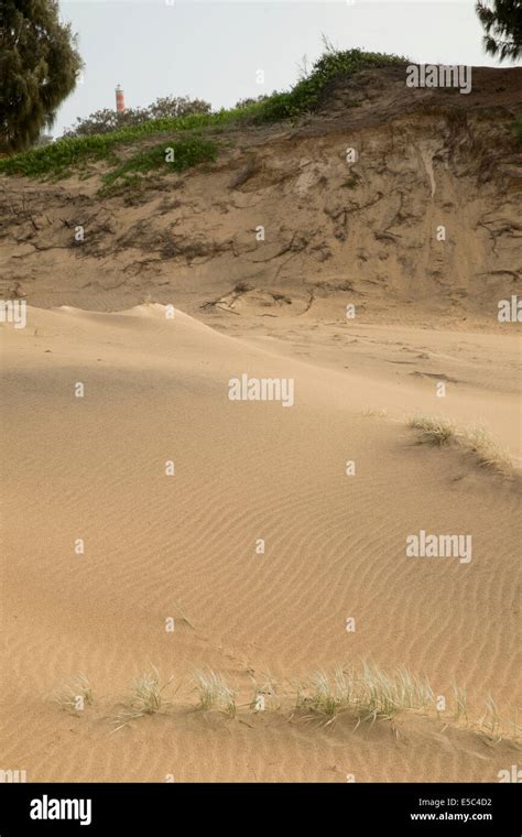 In the sand dunes near Cape Moreton, Moreton Island Stock Photo - Alamy