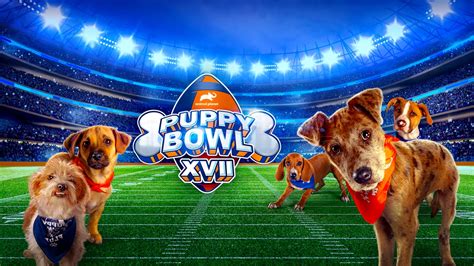 The Puppy Bowl 2025 - Elka Martguerita