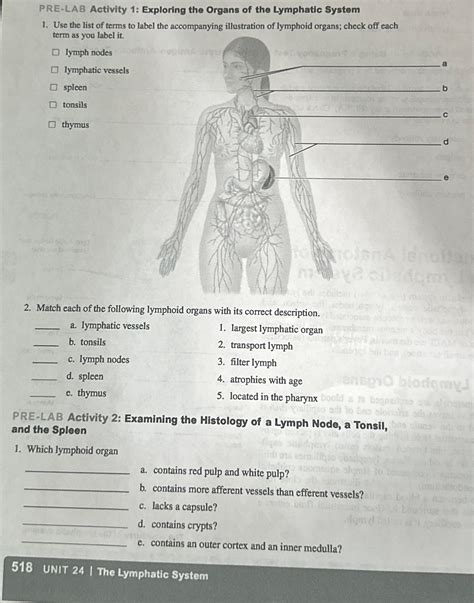 Solved Pre Lab Activity Exploring The Organs Of The Chegg