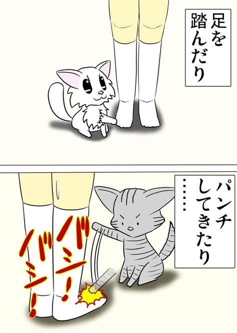 猫の通せんぼとドヤ顔猫 猫の漫画とケモナーの漫画が見れるブログ