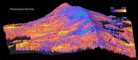 Mapping Functional Diversity Of Forests With Remote Sensing