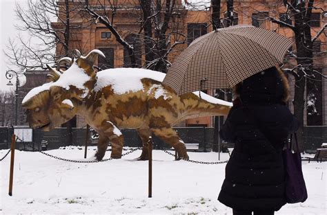 Maltempo Neve A Bergamo Treni Cancellati Disagi Sulle Strade