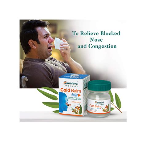 Himalaya Cold Balm 10gm Pack of 3 - Cureka