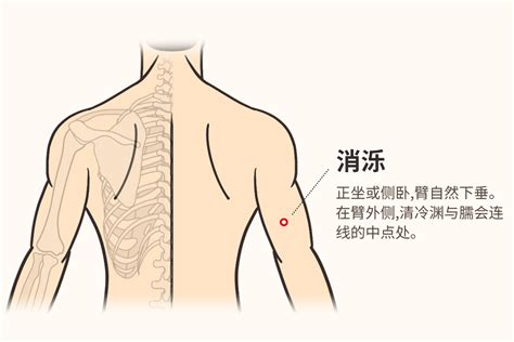 消泺的准确位置及作用 39健康网 精编内容