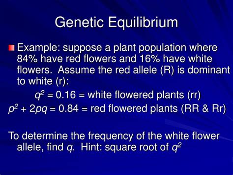 Ppt Allele Frequencies And Genetic Equilibrium Powerpoint