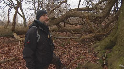 Biolog om mere vild natur i Helsingør Det bedste i 20 år TV 2 Kosmopol