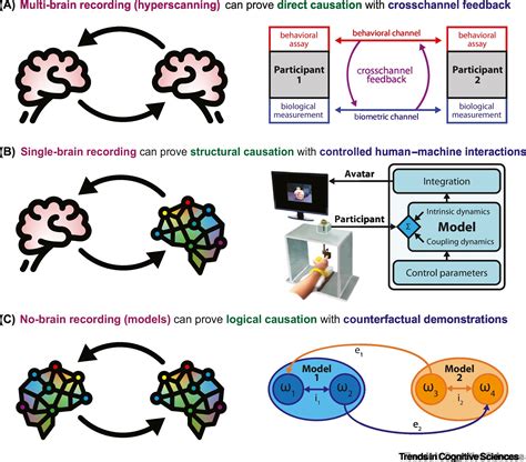 Beyond Correlation Versus Causation Multi Brain Neuroscience Needs