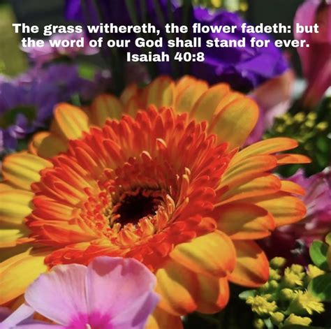 Pin By Marsha Lingle On Scriptures Isaiah Scripture Flowers