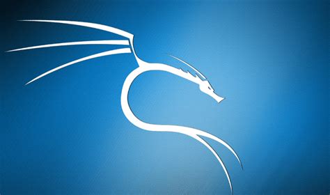 Comment Installer Kali Linux Sur Windows Pour Les D Butants