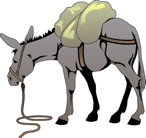 Download Donkey Images Transparent Image Clipart PNG Free | FreePngClipart