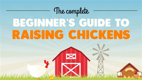 Beginners Guide To Raising Backyard Chickens The Happy Chicken Coop