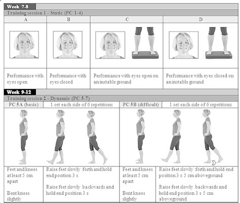 Example Of Static And Dynamic Exercises For Postural Control PC