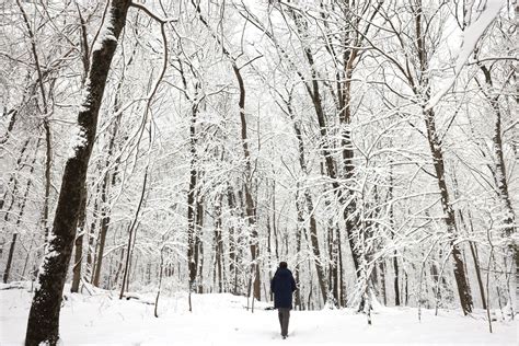 New York City's first serious snowfall leads to hundreds of canceled ...