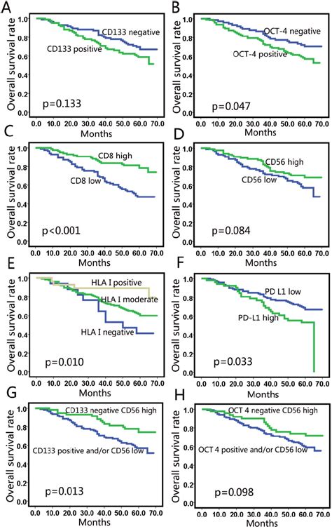 Univariate Analysis For Overall Survival Cd133 A And Oct 4 B Did