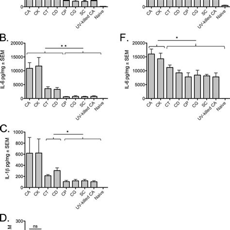 Microbial Burden In Peritoneal Lavage Fluid During NAC Species S