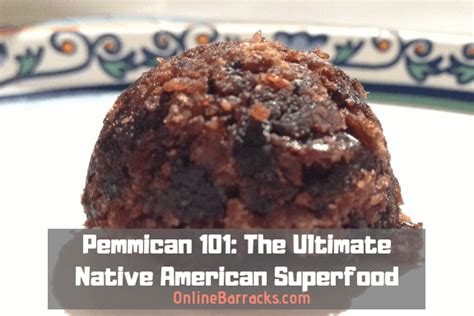 Pemmican Recipe | Dandk Organizer