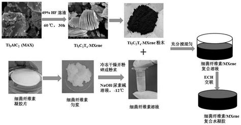 可降解的电活性细菌纤维素mxene复合水凝胶及制备与应用的制作方法