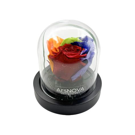 Ars Nova Rosa Incantata Rainbow Senza Stelo Idea Fiori