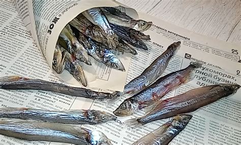 Вяленая мойва в домашних условиях