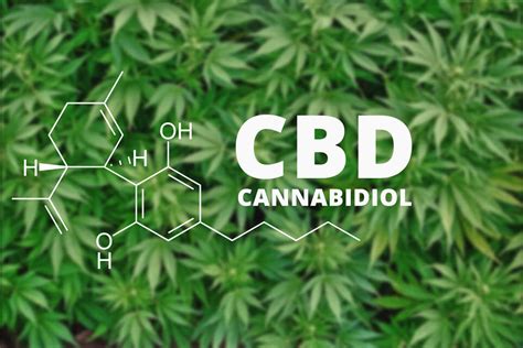 Quelle Est La Diff Rence Entre Le Cbd De Chanvre Et Le Cbd De Cannabis