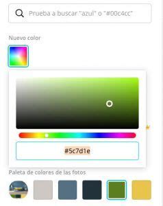 C Mo Usar Las Paletas De Color De Canva