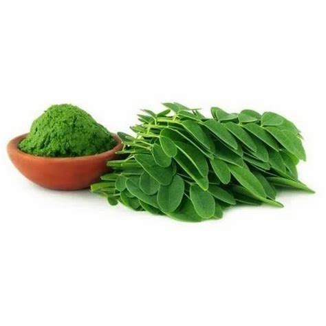 Moringa Leaf Powder Pack Size 100 1000 Gm At Rs 125 Kilogram In