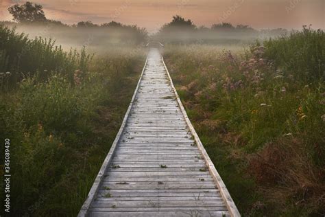Kładka wśród podmokłych łąk Stock Photo | Adobe Stock