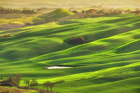 Tuscany Panorama Rolling Hills Trees And Green Fields Italy