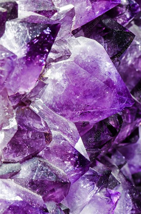 Amethyst Crystals - Stock Image - C028/5833 - Science Photo Library