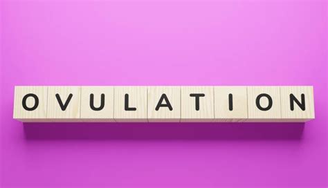 Your Step By Step Guide To Ovulation Induction Treatment