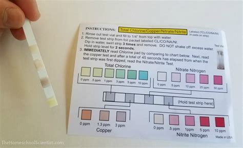 Water Quality Experiment - The Homeschool Scientist