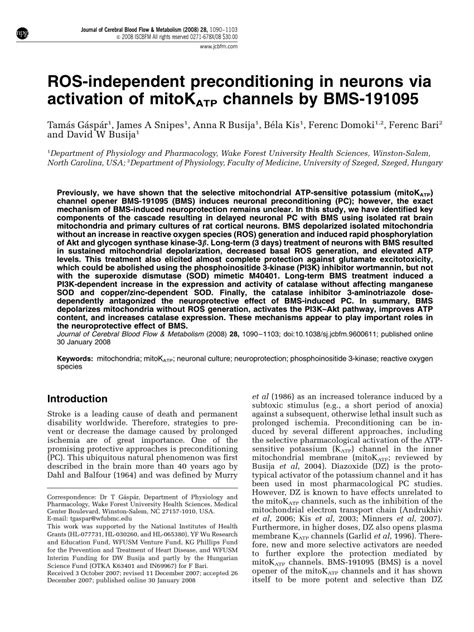 PDF ROS Independent Preconditioning In Neurons Via Activation Of