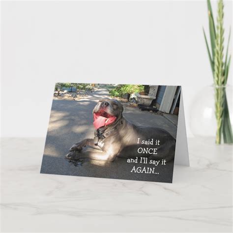 Smiling Pitbull Thank You Card Zazzle